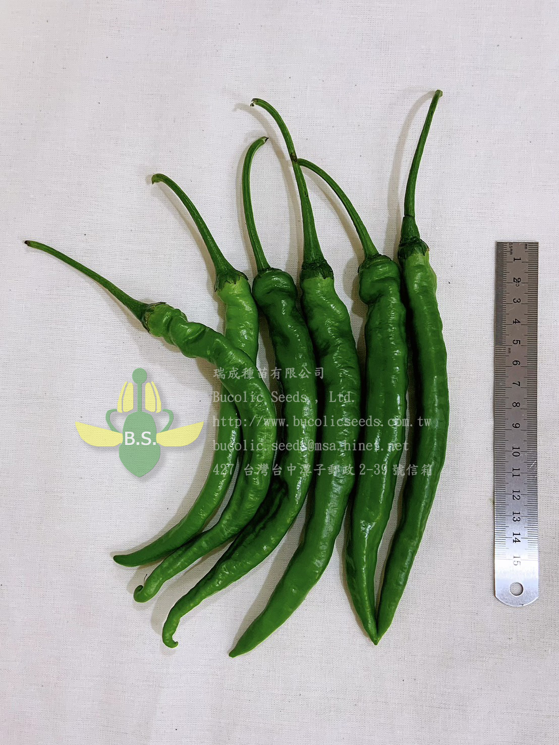 Sweet Pepper 309 - Sweet Pepper 309 (1)